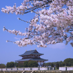649_奈良_平城京遗址