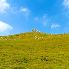 景点模块 
