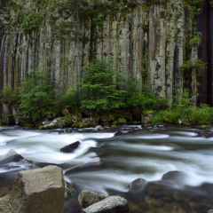 834_白山_望天鹅风景区