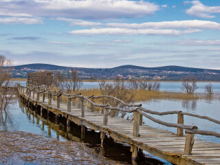 卡马格湿地公园