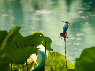 大明湖风景名胜区