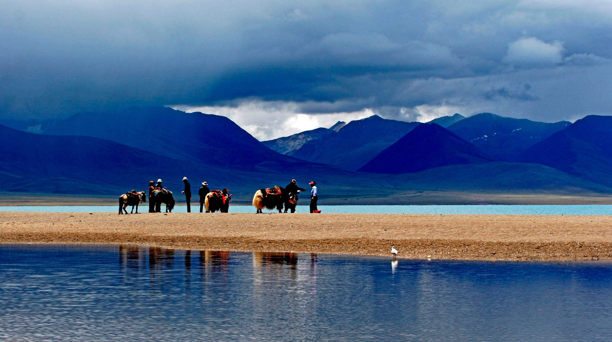  西藏拉萨包车一日游 纳木错 念青唐古拉山 包车一日游>包车纯玩无