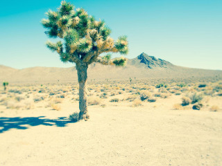 死亡谷国家公园