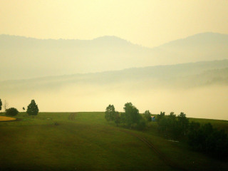 室韦俄罗斯民族乡