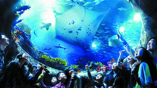 海洋公园2日游_香港迪士尼私人定制旅游_香港迪士尼最佳旅游_旅游社香港迪士尼