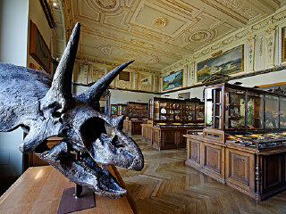 上弗兰肯史前世界博物馆