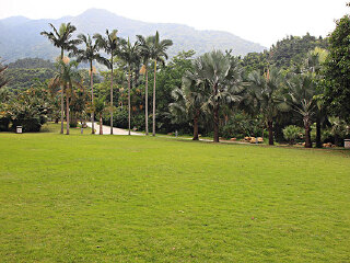 深圳仙湖植物园