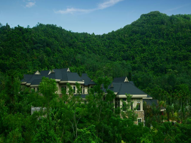 雨林酒店远观图