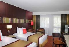 开罗斯芬克斯美居酒店(Mercure Cairo Le Sphinx Hotel) 酒店模块