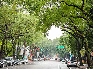 华中师范大学汉口分校