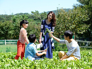 高要广新农业生态园