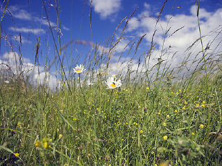 怀集三岳自然保护区