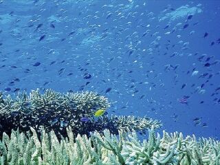 十二湖海洋生态旅游区