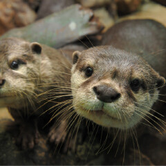 南昌万达海洋乐园