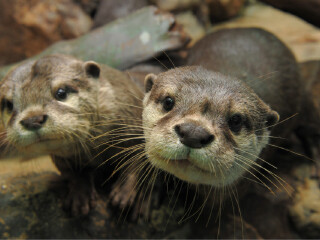 南昌万达海洋乐园