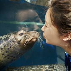 南昌万达海洋乐园