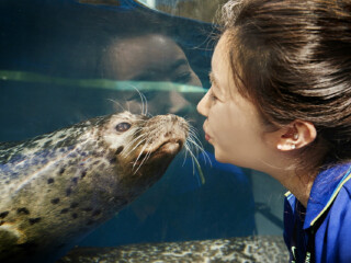 南昌万达海洋乐园