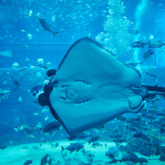 南昌万达海洋乐园