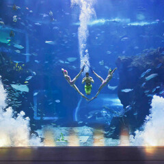 南昌万达海洋乐园