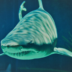 南昌万达海洋乐园