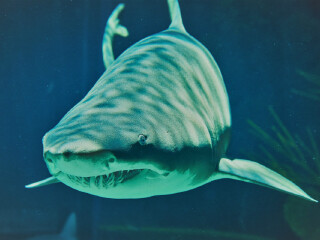 南昌万达海洋乐园