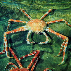 南昌万达海洋乐园