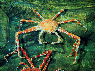 南昌万达海洋乐园