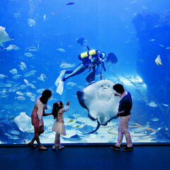 南昌万达海洋乐园