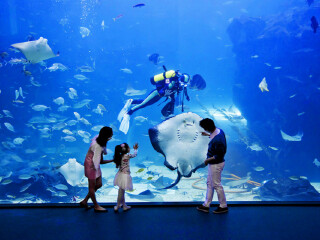 南昌万达海洋乐园