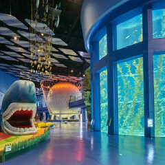 南昌万达海洋乐园