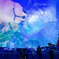 南昌万达海洋乐园