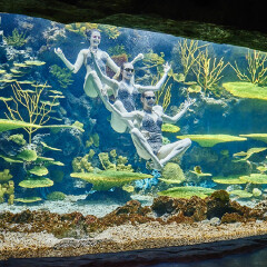 南昌万达海洋乐园