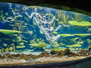 南昌万达海洋乐园