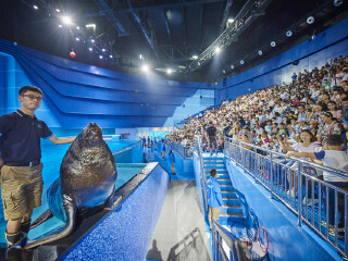 南昌万达海洋乐园