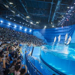 南昌万达海洋乐园