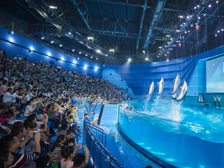 南昌万达海洋乐园