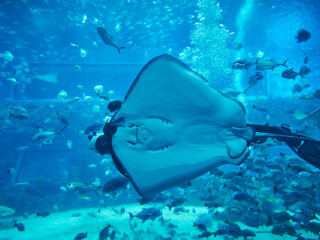 南昌万达海洋乐园