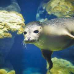 南昌万达海洋乐园