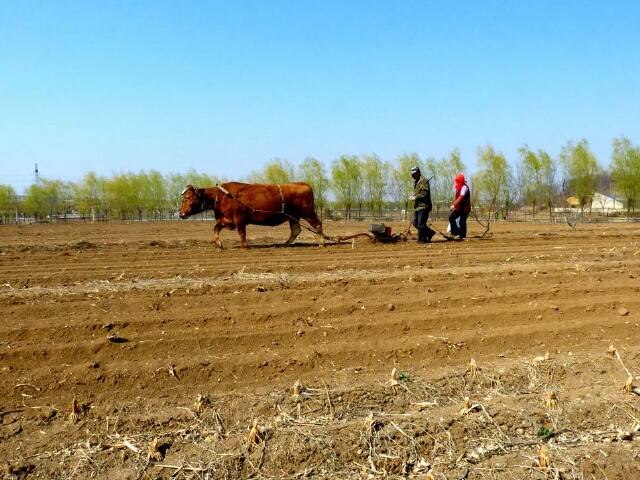 【辽宁】大连郊区踏青