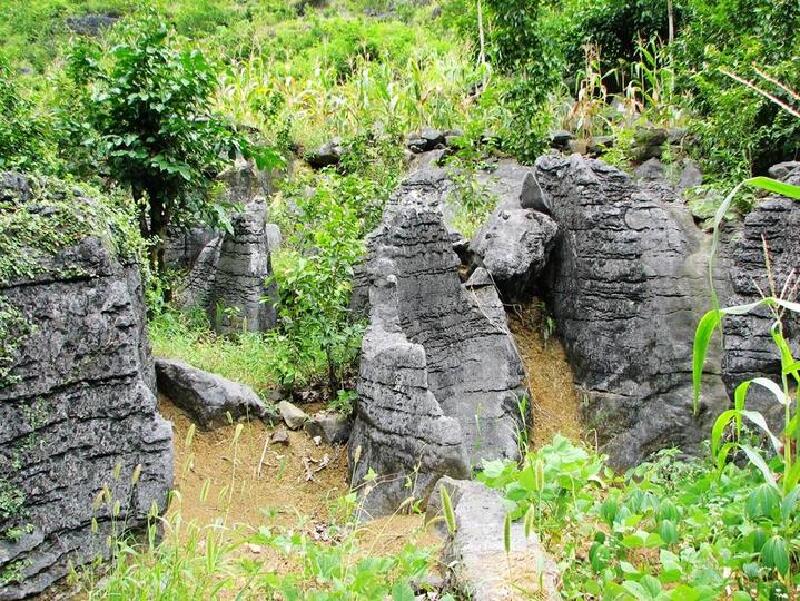 新发现#南宁竟然也有天坑,就在美丽的隆安布泉河边