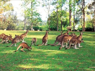 道格拉斯港野生动物栖息地动物园