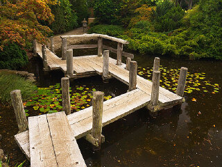 塔斯马尼亚皇家植物园