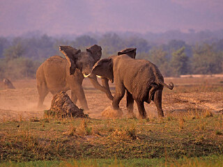 马纳潭国家公园