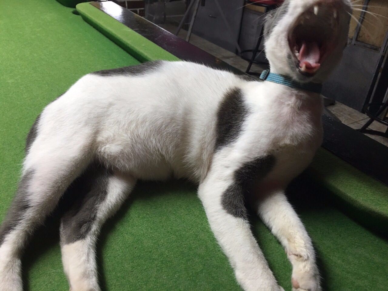 普吉岛游记-带爹妈自由行感受