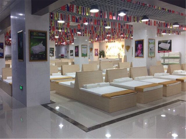 国字号的体验城