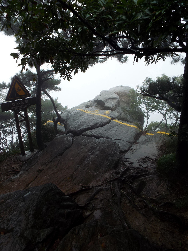 難見廬山真面目