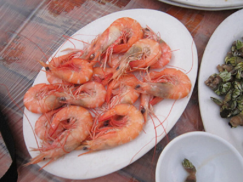 独行外伶仃岛游