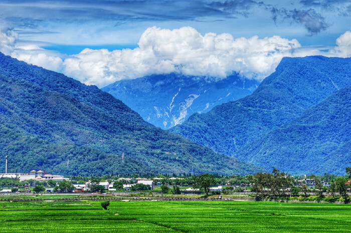 这里是花东纵谷平原中南部,是著名的池上平原,东西边分别有中央山脉和