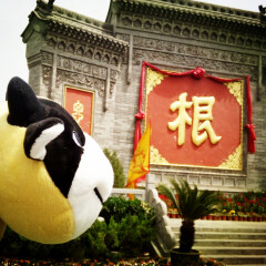 大槐树寻根祭祖园01