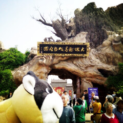 大槐树寻根祭祖园04